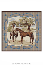 Double d ranch scarf